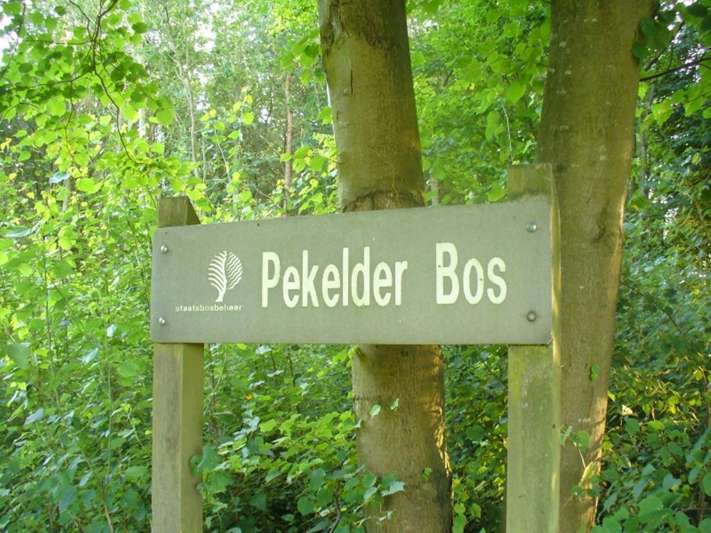 B&B De Wiekeborg Oude Pekela Extérieur photo